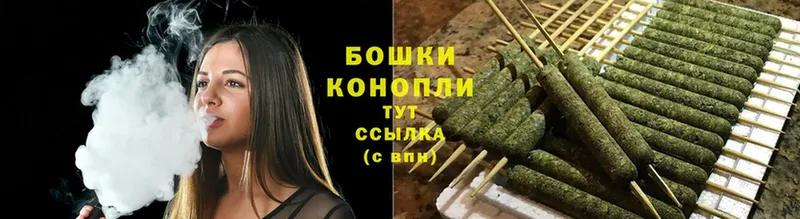 Бошки Шишки White Widow  закладка  Зея 